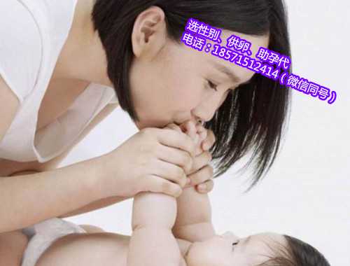 北京试管代怀建议,试管婴儿与肌醇