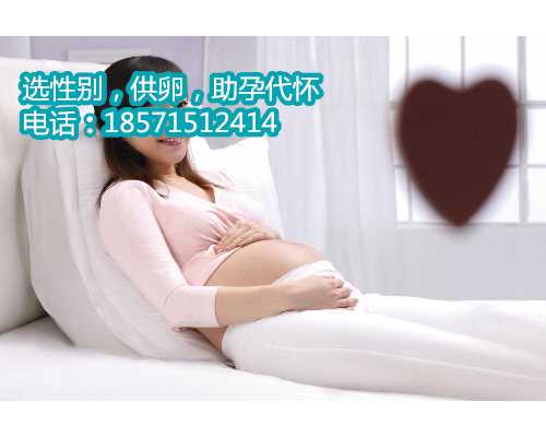 北京试管助孕公司的流程