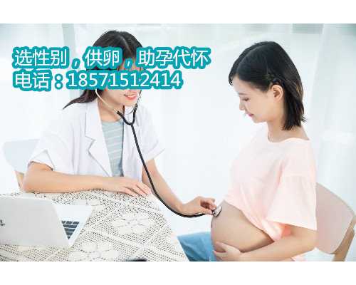 北京供卵助孕中心,重燃生命的希望