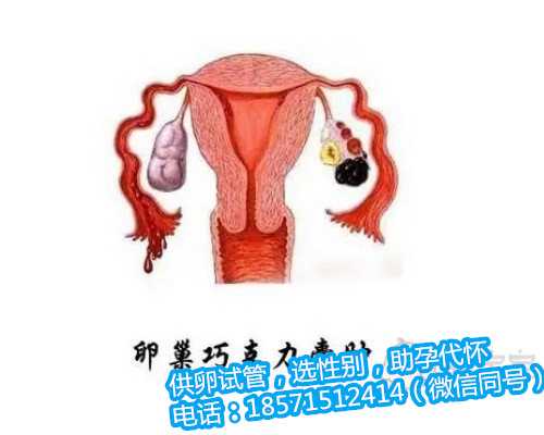 北京在试管代孕多钱,姐妹经历分享