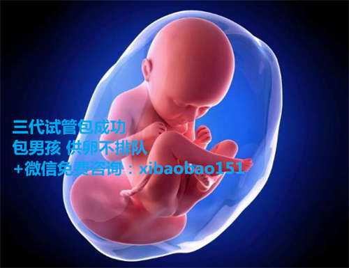 北京中介招代孕，44岁张茜经历两次流产后，高龄做试管婴儿，张卫健：想当爹